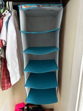 Clever Container closet organizer, paisley print, 35 inches long, 14 inches wide